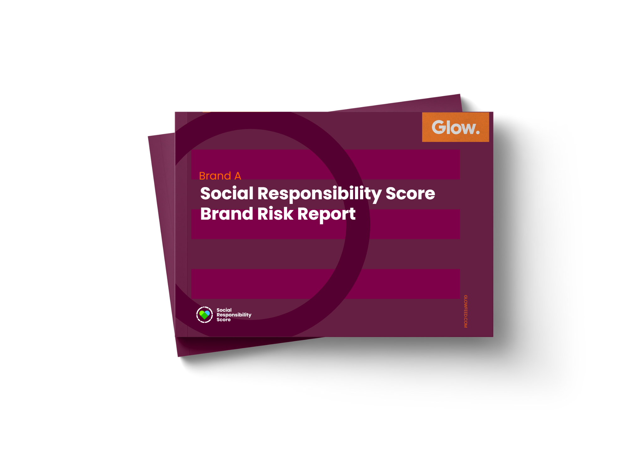 SRS Brand Risk Report Cover